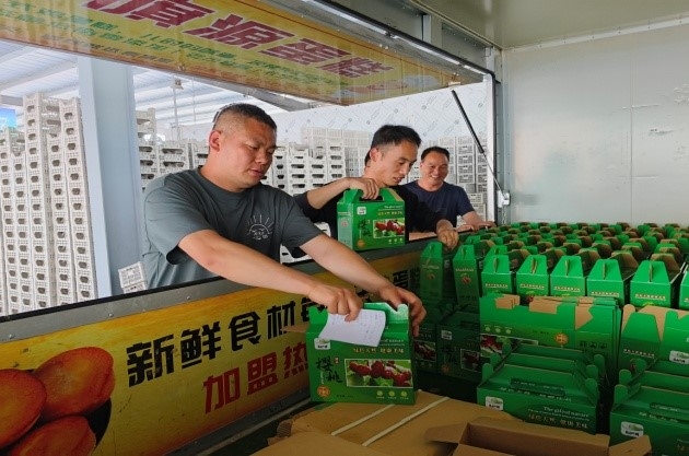 乡村振兴工作动态(第169期)